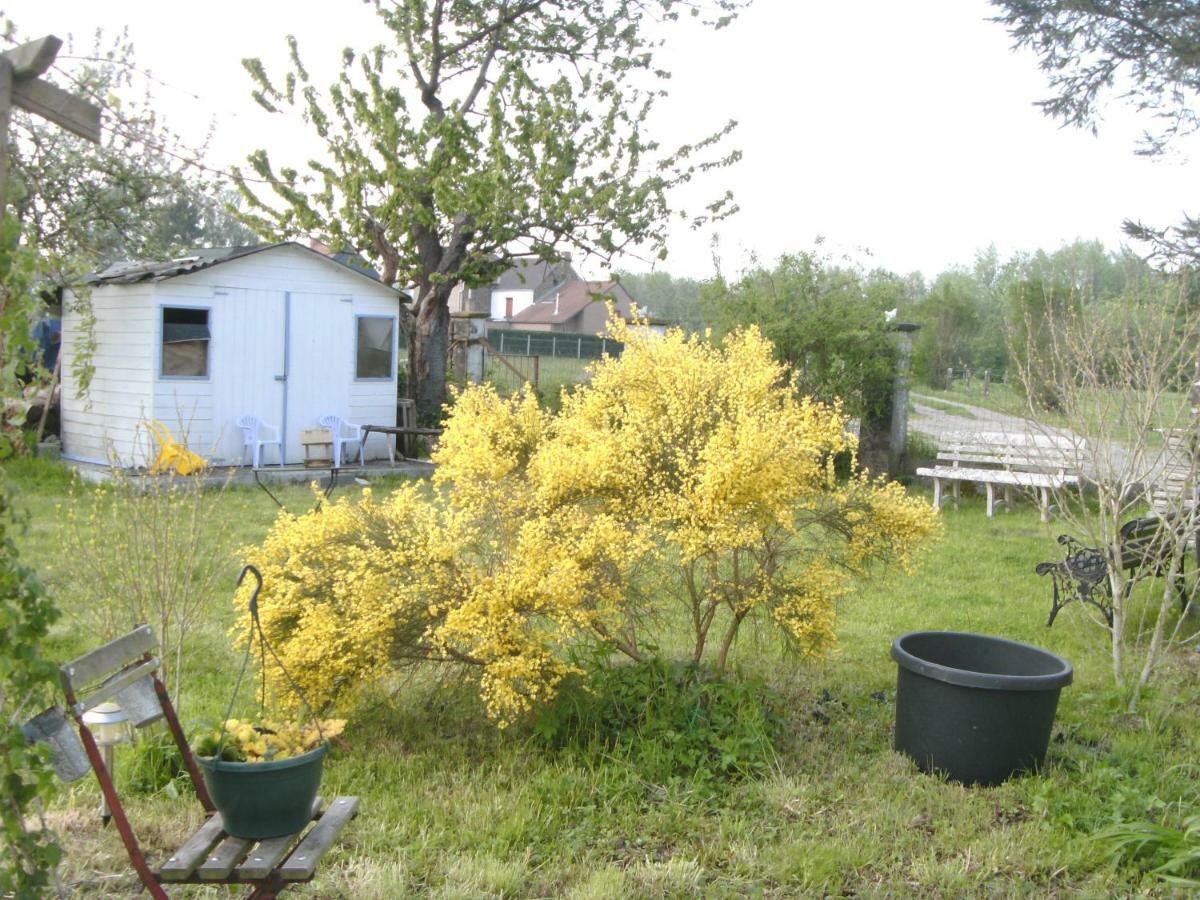 Ferme Lenfant Konuk evi Ville-Pommeroeul Dış mekan fotoğraf