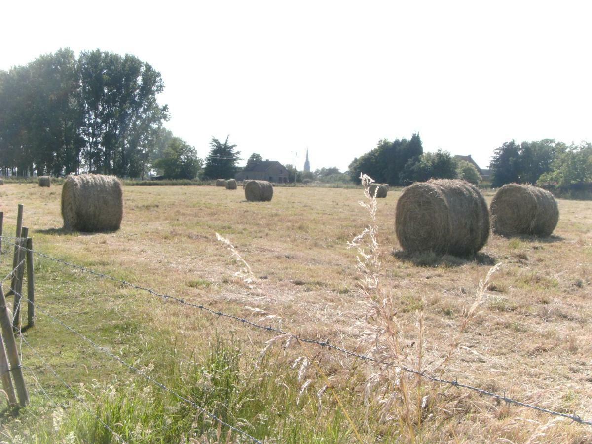 Ferme Lenfant Konuk evi Ville-Pommeroeul Dış mekan fotoğraf