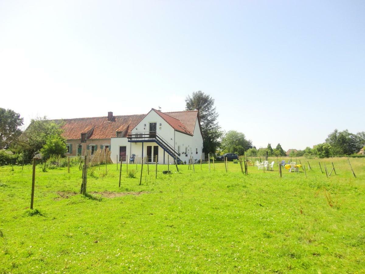 Ferme Lenfant Konuk evi Ville-Pommeroeul Dış mekan fotoğraf